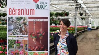 « Avec 800 000 pieds produits chaque année, le “géranium” représente 20 % de notre CA », précise Alice Bouget-Jarry (Ets Jarry), à Bourgneuf-en Mauges (49). ©A. Mabire